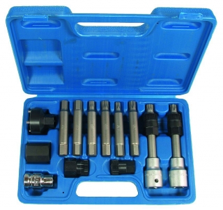 Súprava hlavíc a kľúčov pre alternátory, 13 dielov, Triumf